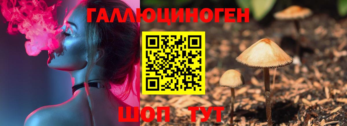 Псилоцибиновые грибы прущие грибы  Вход с VPN  Россошь 