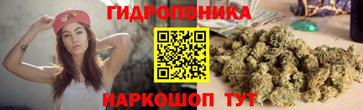 Бошки Шишки планчик Россошь